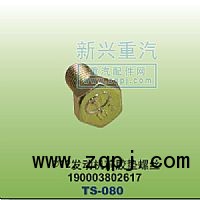 190003802617,￠12發(fā)動(dòng)機(jī)前膠墊螺絲,晉江新興螺絲有限公司