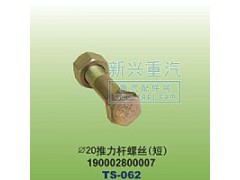 190002800007,￠20推力桿螺絲短,晉江新興螺絲有限公司