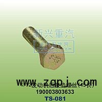 190003803633,￠12發(fā)動機膠墊螺絲45長,晉江新興螺絲有限公司