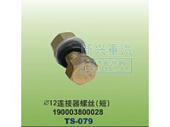 190003800028,￠12連接器螺絲短,晉江新興螺絲有限公司