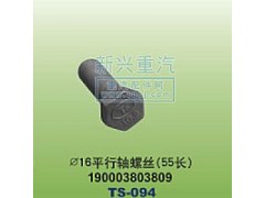 190003803809,￠16平行軸螺絲55長(zhǎng),晉江新興螺絲有限公司