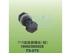 190003800028,￠10連接器螺絲短,晉江新興螺絲有限公司