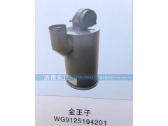 WG9125194201,金王子油濾器WG9125194201,濟南永正汽車配件經銷處