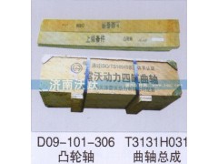 D09-101-306,凸輪軸,濟(jì)南沃躍歐曼汽車配件有限公司