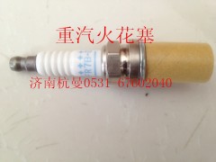 VG1560080701,火花塞,濟(jì)南杭曼汽車配件有限公司