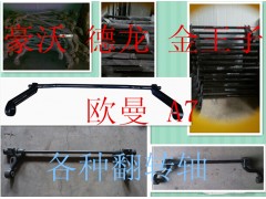 AZ1642430219,豪沃 德龍 翻轉(zhuǎn)杠,濟(jì)南固德汽車配件有限公司--原隆達(dá)