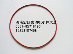 90003120088,WP12噴油器法蘭密封圈,濟(jì)南耀順汽車配件有限公司（重汽、濰柴發(fā)動機(jī)小件專賣）