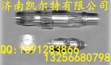 AZ9981320105,輸入軸,濟(jì)南凱爾特商貿(mào)有限公司