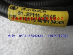 81.27111.0145,陜汽德龍行駛記錄儀底盤電纜,濟南尊龍(原天盛)陜汽配件銷售有限公司