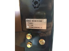 DZ96259532000,散熱器,濟南鼎立興丞汽車配件有限公司