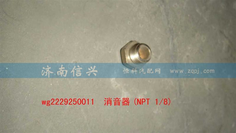 WG2229250011,消音器(NPT 1、8),濟(jì)南信興汽車配件貿(mào)易有限公司