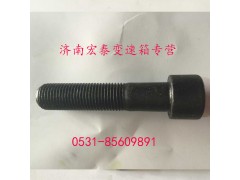 AZ9003821250,內(nèi)六角圓柱頭螺釘,濟南宏泰變速箱專營店