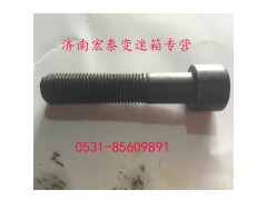 AZ9003821250,內(nèi)六角圓柱頭螺釘,濟南宏泰變速箱專營店