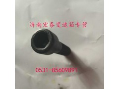 AZ9003821250,內(nèi)六角圓柱頭螺釘,濟南宏泰變速箱專營店