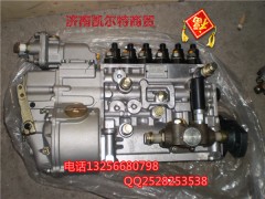 VG1560080021,國產(chǎn)高壓噴油泵帶K型調(diào)速器,濟南凱爾特商貿(mào)有限公司