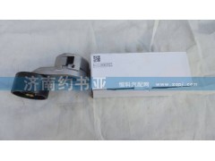 VG1246060022,漲緊輪10PK,濟南約書亞汽車配件有限公司（原華魯信業(yè)）