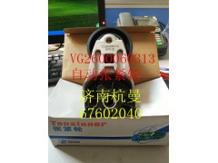 VG2600060313,自動(dòng)漲緊輪,濟(jì)南杭曼汽車配件有限公司