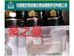 HG1500080124,噴油泵總成,杭州豪之曼汽車配件