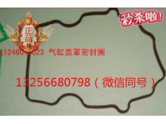 VG1246040023,發(fā)動(dòng)機(jī)氣缸蓋罩密封圈,濟(jì)南凱爾特商貿(mào)有限公司