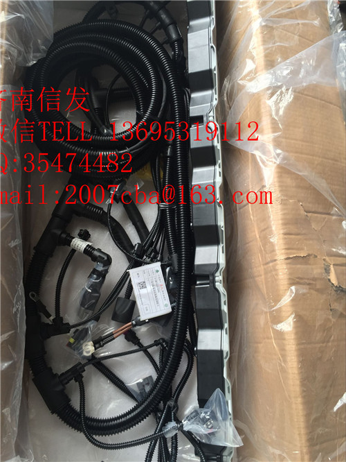 812W25424-6365重汽T5G發(fā)動(dòng)機(jī)線束1,812W25424-6365重汽T5G發(fā)動(dòng)機(jī)線束1,濟(jì)南信發(fā)汽車配件有限公司