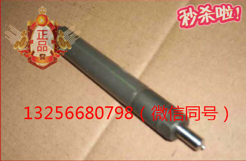 供應VG1560080276重汽豪沃斯太爾發(fā)動機噴油器總成/VG1560080276