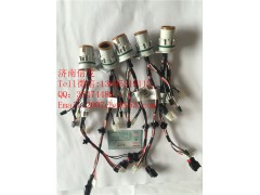 24V-A041B881 Ecofit尿素泵體內(nèi)線束,24V-A041B881 Ecofit尿素泵體內(nèi)線束,濟南信發(fā)汽車配件有限公司