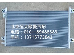 1b24981280051,冷凝器總成,北京遠(yuǎn)大歐曼汽車配件有限公司