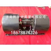 供應(yīng)陜汽德龍F(tuán)3000暖風(fēng)電機(jī)DZ13241841114