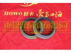 310403002A,HOWO豪沃輕卡后輪轂內(nèi)油封總成,山東悍將商貿(mào)有限公司