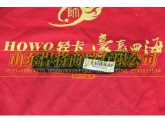 LG9704930003,HOWO豪沃輕卡前牽引鉤,山東悍將商貿(mào)有限公司