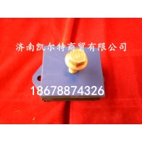 供應(yīng)陜汽德龍秦燕品牌發(fā)動機(jī)前支撐9114593001