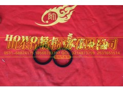 FB45X55X8,HOWO豪沃輕卡半軸油封,山東悍將商貿(mào)有限公司