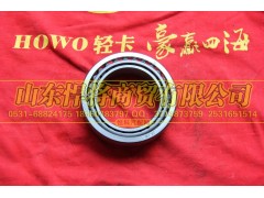 2007114E,HOWO豪沃輕卡差速器軸承總成,山東悍將商貿(mào)有限公司