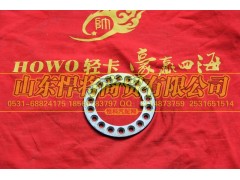 102010018,HOWO豪沃輕卡花墊,山東悍將商貿(mào)有限公司