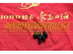 102013010-19,HAOWO豪沃輕卡鎖緊螺釘,山東悍將商貿(mào)有限公司