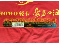 LG1611230072,HAOWO豪沃輕卡安裝條,山東悍將商貿(mào)有限公司