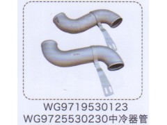 WG9719530123,中冷器管,濟(jì)南泉信汽配