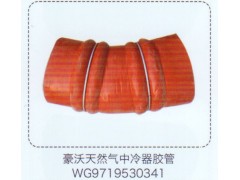 WG9719530341,豪沃天然氣中冷器膠管,濟(jì)南泉信汽配