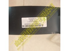 LG9704530324,HOWO豪沃輕卡護(hù)風(fēng)罩,山東悍將商貿(mào)有限公司