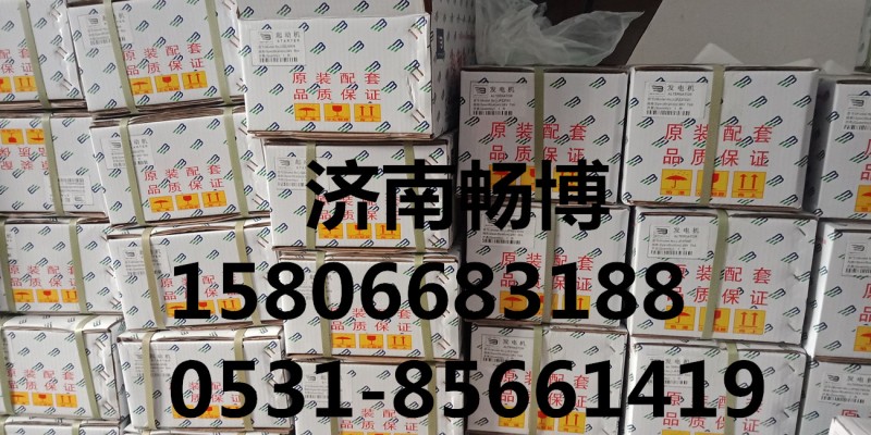 600-821-6130,發(fā)電機,濟南暢博汽車零部件有限公司