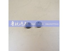 61500050105,氣門帽61500050105,濟南魯杭汽配有限公司