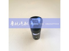 12JS160T-1708010,12檔手柄球（細(xì)）,濟(jì)南魯杭汽配有限公司