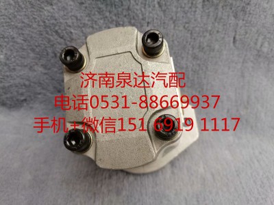 QC20/16-D14,轉(zhuǎn)向助力泵,濟(jì)南泉達(dá)汽配有限公司