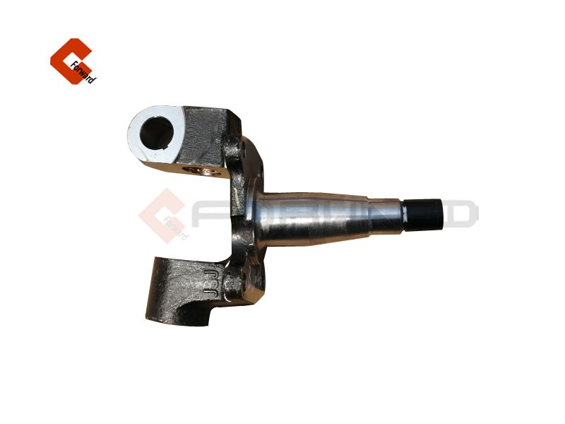 L0300061192A0-20-210130JS,Steering knuckle,濟(jì)南向前汽車配件有限公司