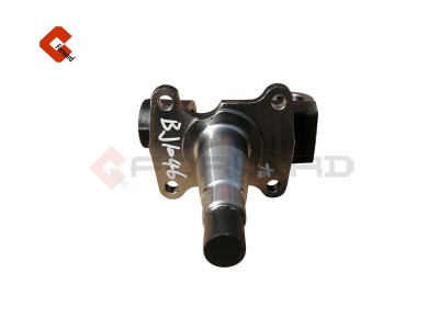 L0300061192A0-20-210130JS,Steering knuckle,濟(jì)南向前汽車配件有限公司