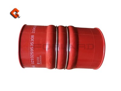 DZ93259535308,Fluorine tube and silicone tube,濟(jì)南向前汽車配件有限公司