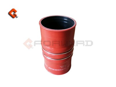 DZ93259535308,Fluorine tube and silicone tube,濟(jì)南向前汽車配件有限公司