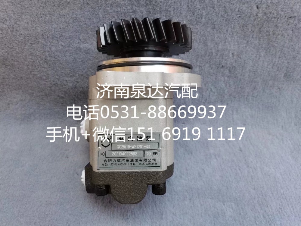 QC25/19-WP12N1-SD,轉(zhuǎn)向助力泵,濟(jì)南泉達(dá)汽配有限公司