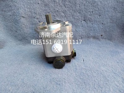 QC18/13-D14XZ,齒輪泵,濟南泉達汽配有限公司