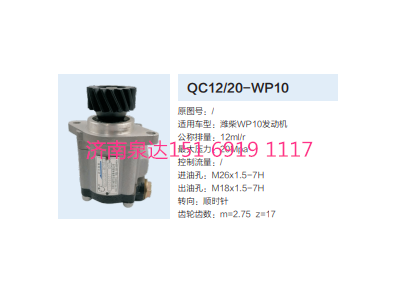 QC12/20-WP10,動(dòng)力轉(zhuǎn)向齒輪泵,濟(jì)南泉達(dá)汽配有限公司